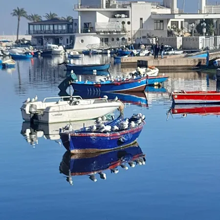 Locazione Turistica Madera Konukevi *