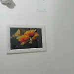 Locazione Turistica Madera 3* Bari